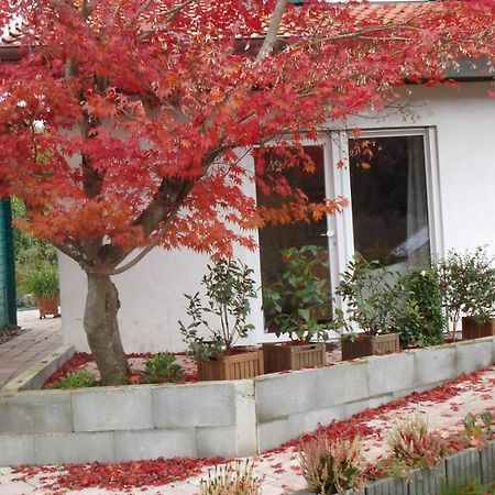 Haus Magnolia 2 Διαμέρισμα Kandern Εξωτερικό φωτογραφία