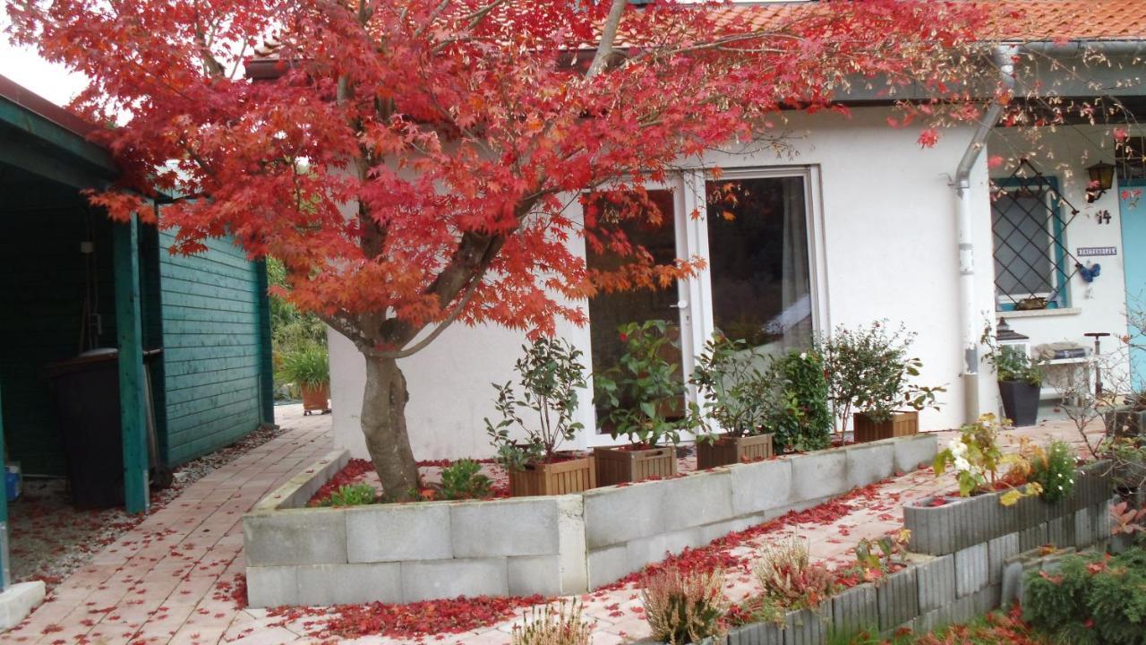 Haus Magnolia 2 Διαμέρισμα Kandern Εξωτερικό φωτογραφία