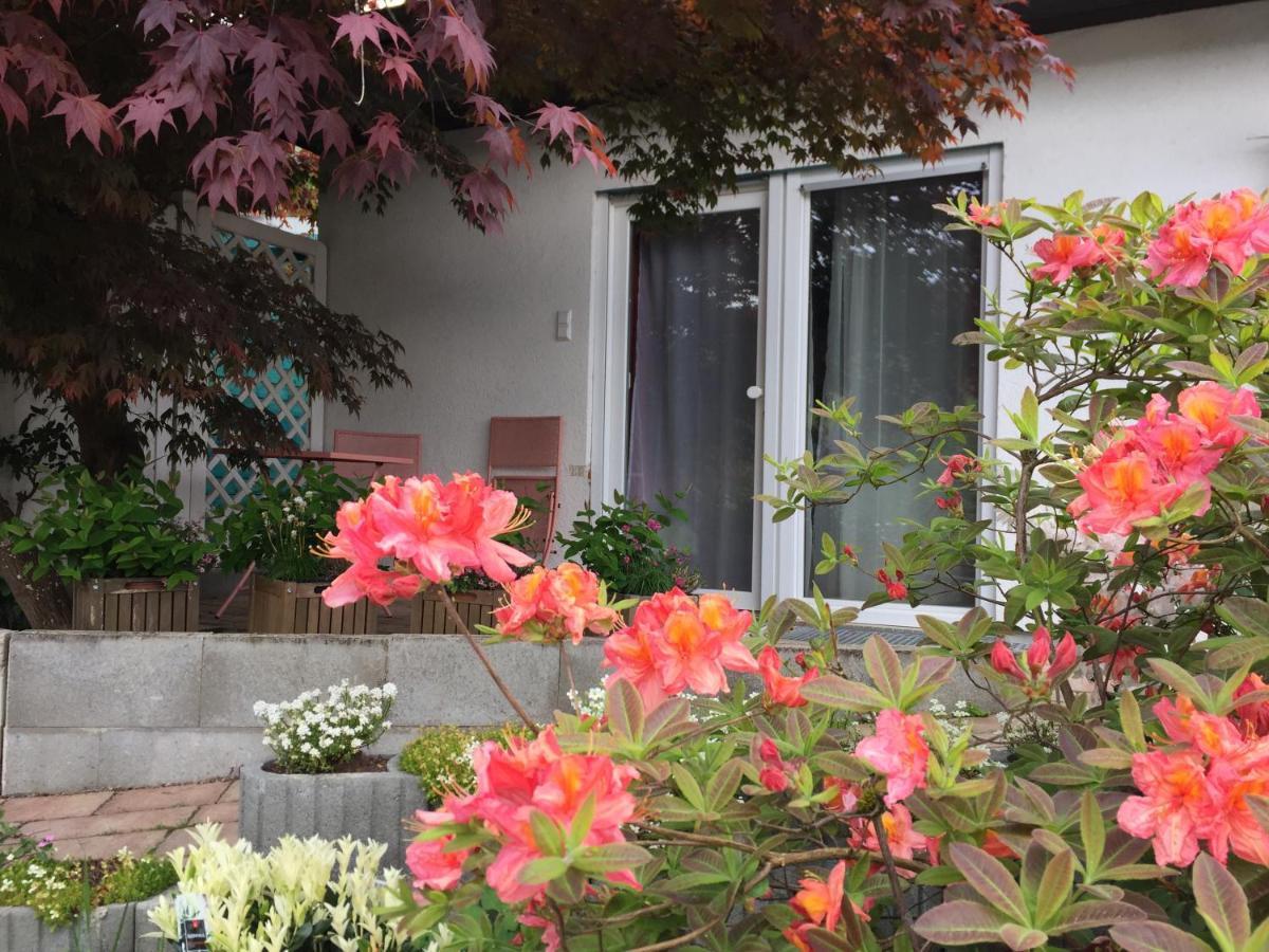 Haus Magnolia 2 Διαμέρισμα Kandern Εξωτερικό φωτογραφία